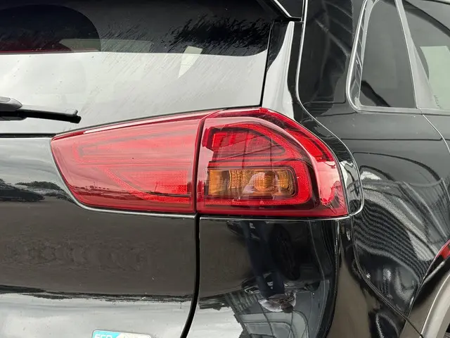 Kia e-Niro Edition 64 kWh 2021 Elektrisch 16