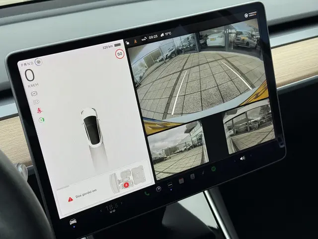 Tesla Model 3 Range Plus 2020 Elektrisch 23