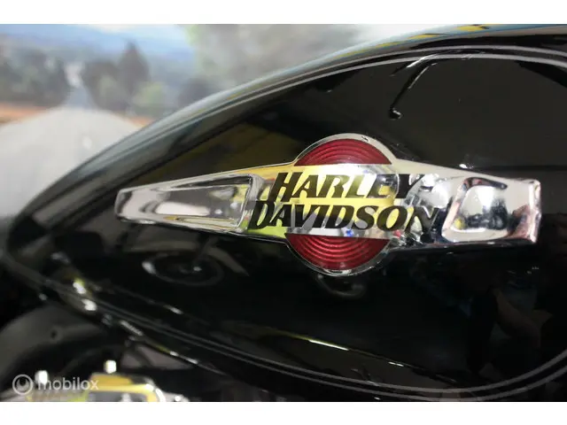 Harley-Davidson Sportster XL 1200C Custom 2012 Benzine 6