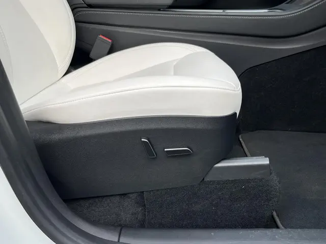 Tesla Model Y Performance AWD 75 kWh 2023 Elektrisch 30