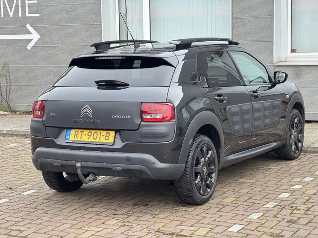 Citroën C4 Cactus 1.2 PureTech Shine 2018 Benzine 6