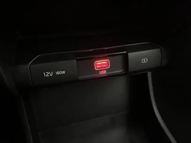 Kia e-Niro Edition 64 kWh 2021 Elektrisch 31