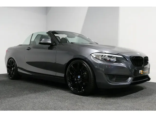 BMW 2 Serie Cabrio 218i Essential 2015 Benzine 19