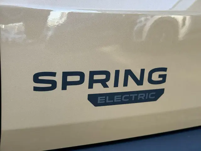 Dacia Spring Expression 65 27 kWh 2025 Elektrisch 25