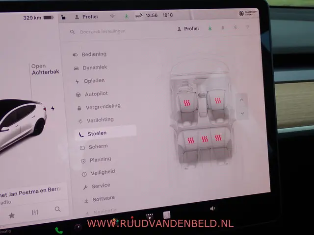 Tesla Model 3 Performance AWD 75 kWh 2021 Elektrisch 19