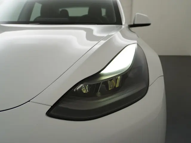 Tesla Model 3 Standard RWD Plus 60 kWh 2021 Elektrisch 14
