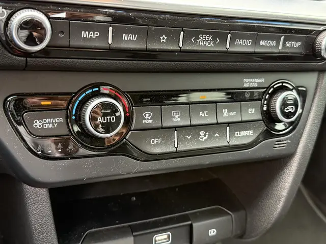 Kia e-Niro Edition 64 kWh 2021 Elektrisch 29