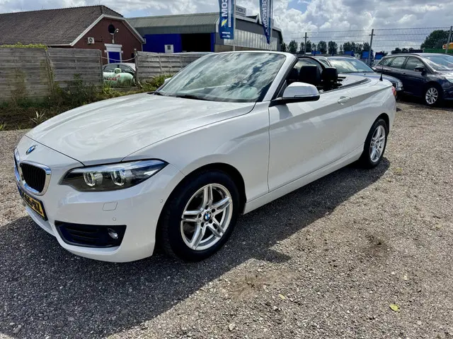 BMW 2 Serie Cabrio 220i Executive 2017 Benzine 7