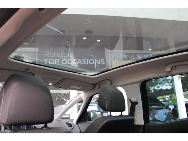 Renault Scénic 1.2 TCe 2017 Benzine 14