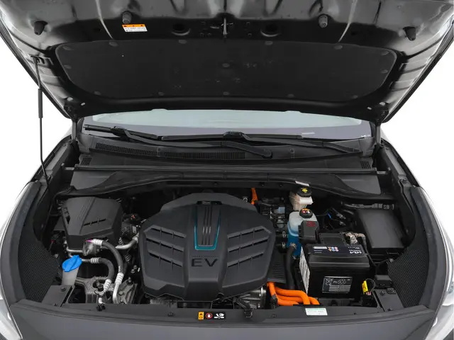 Kia e-Niro ExecutiveLine 64 kWh 2020 Elektrisch 28