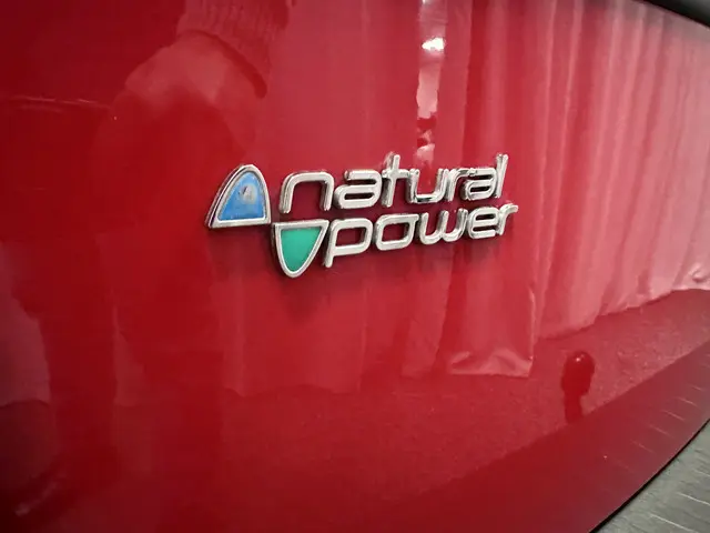 Fiat Doblò Cargo 1.4 T-Jet Natural Power HD 2013 CNG 25