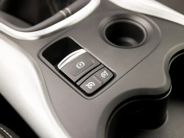 Renault Kadjar 1.2 TCe Intens Sport 2017 Benzine 30