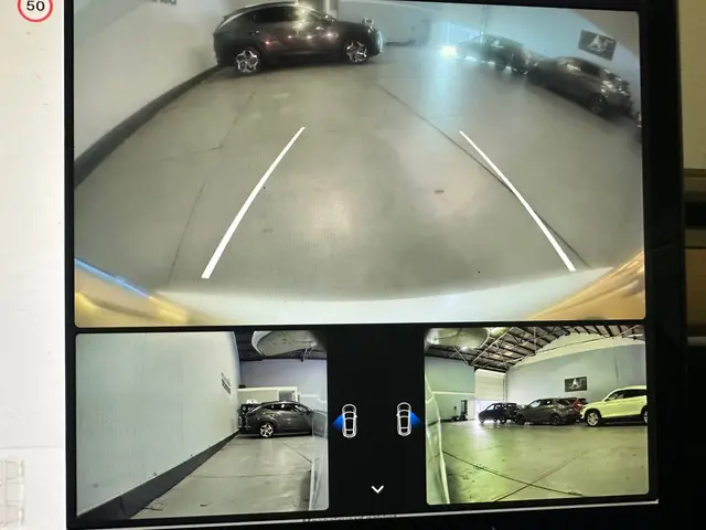 Tesla Model 3 Standard RWD Plus 60 kWh 2020 Elektrisch 22