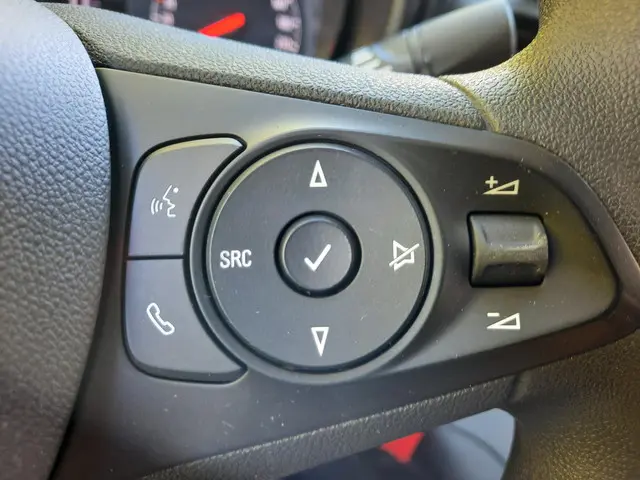 Opel Combo 1.6D L1H1 Edition 2019 Diesel 13