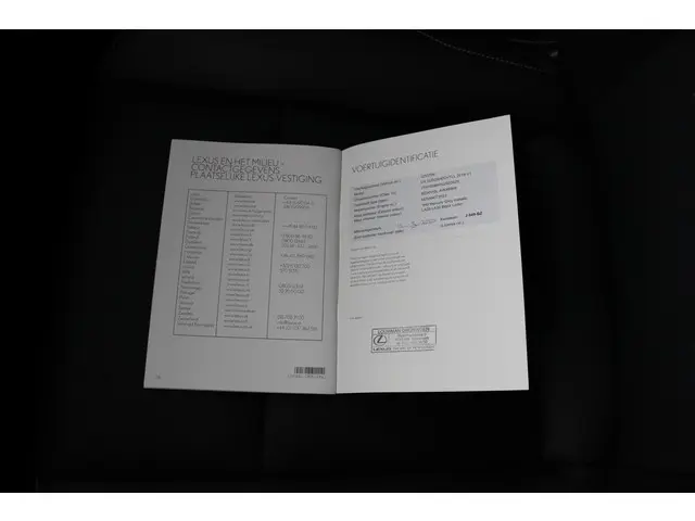 Lexus UX 250h Luxury Line 2020 Hybride Benzine 53