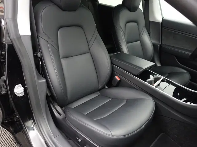 Tesla Model 3 Performance AWD 75 kWh 2020 Elektrisch 15