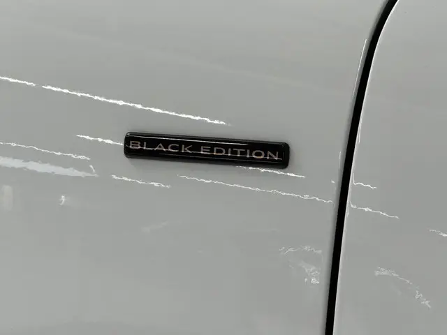 Renault Kadjar 1.3 TCe Black Edition 2021 Benzine 15