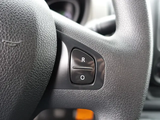 Renault Trafic 1.6 dCi Euro 6 T29 L2 Luxe- 2019 Diesel 15