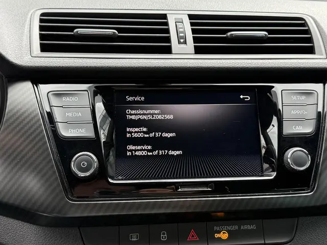 Škoda Fabia 1.0 TSI Monte Carlo 2020 Benzine 30