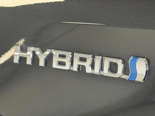Toyota RAV4 2.5 Hybrid Energy Plus 2019 Hybride Benzine 49