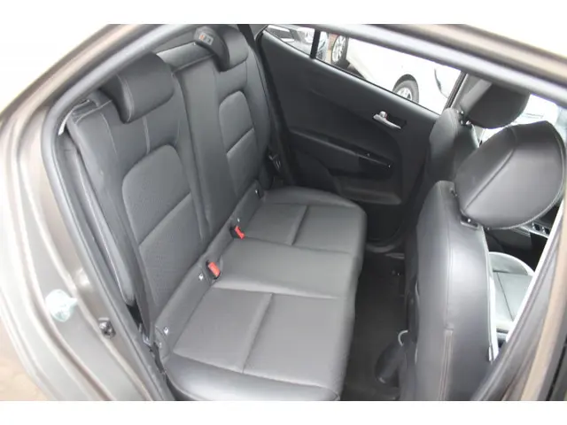 Kia Picanto 1.0 CVVT Design Edition 2019 Benzine 13