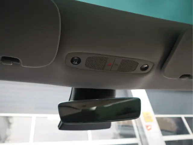 Tesla Model 3 Standard RWD Plus 60 kWh 2020 Elektrisch 38