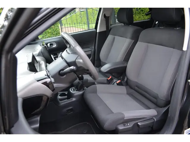 Citroën C4 Cactus 1.6 BlueHDi Business Plus 2017 Diesel 12