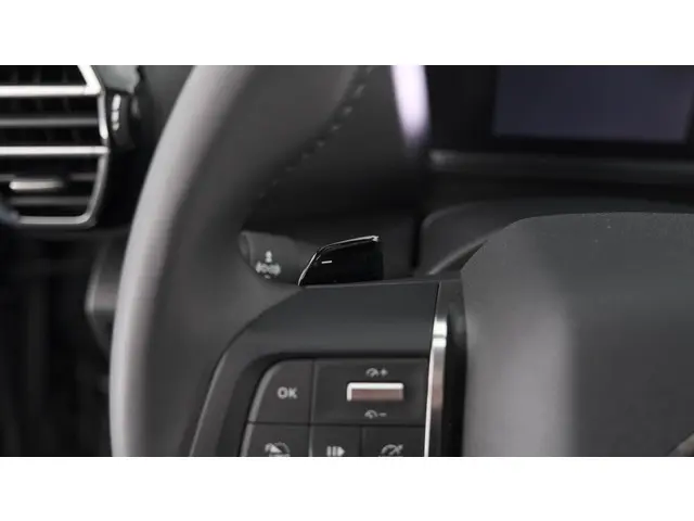 Citroën C4 X PureTech 130 EAT8 Plus 2023 Benzine 28