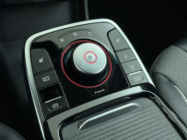 Kia e-Niro Edition 64 kWh 2021 Elektrisch 39