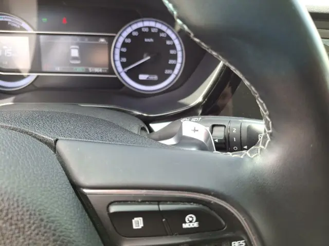 Kia Niro 1.6 GDi Hybrid DynamicLine 2021 Hybride Benzine 25