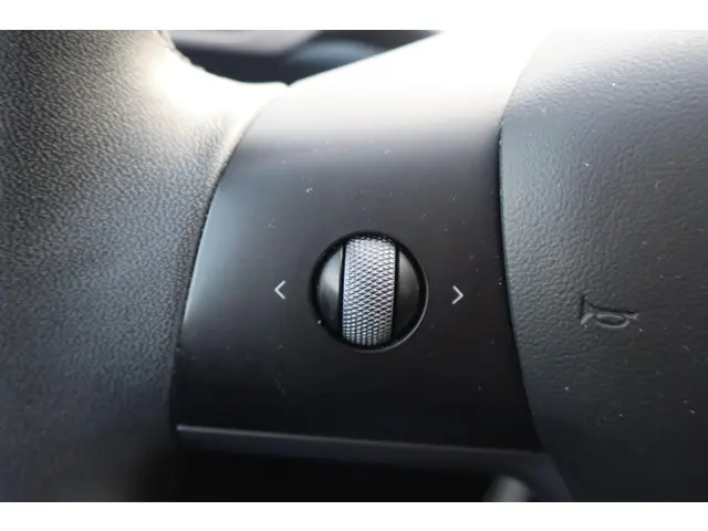 Tesla Model 3 Standard RWD Plus 60 kWh 2021 Elektrisch 28