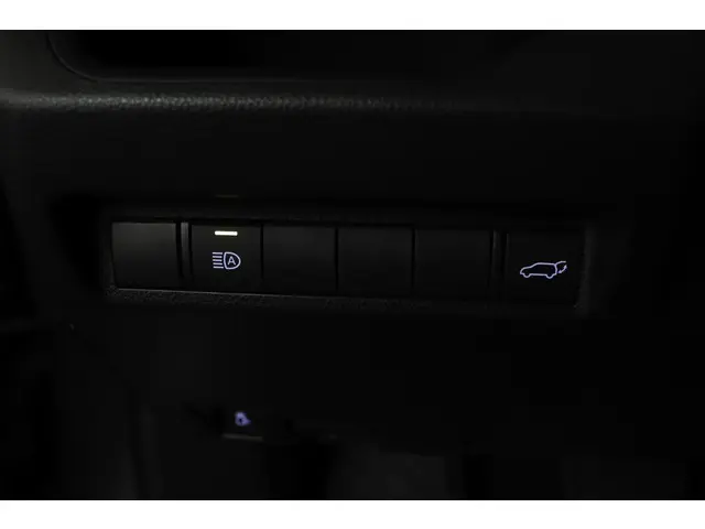 Toyota RAV4 2.5 Hybrid AWD Dynamic 2019 Hybride Benzine 29