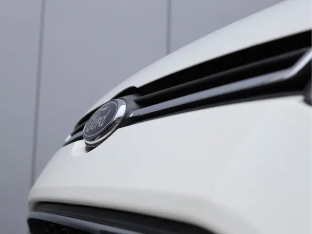 Ford EcoSport 1.0 EcoBoost Titanium S 2017 Benzine 10