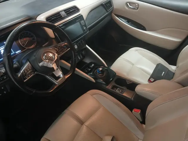 Nissan Leaf Tekna 40 kWh - Frontschade 2018 Elektrisch 12