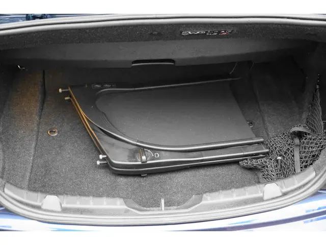 BMW 2 Serie Cabrio 220i EERSTE EIGENAAR 2015 Benzine 15