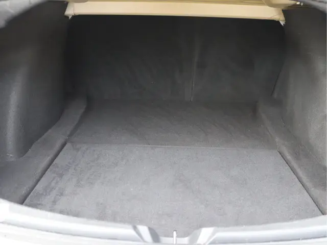 Tesla Model 3 Standard RWD Plus 60 kWh 2019 Elektrisch 52