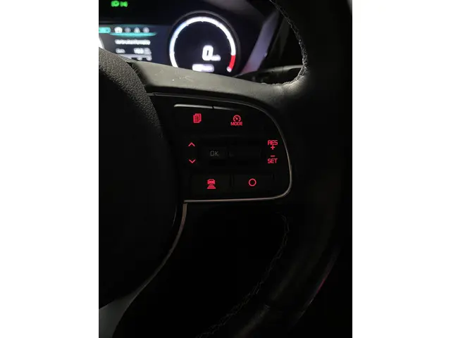 Kia e-Niro DynamicLine 64 kWh 2020 Elektrisch 25