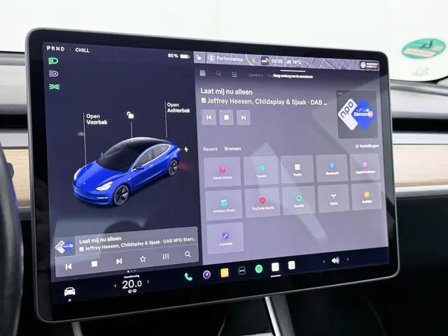 Tesla Model 3 Long Range AWD 75 kWh 2019 Elektrisch 33