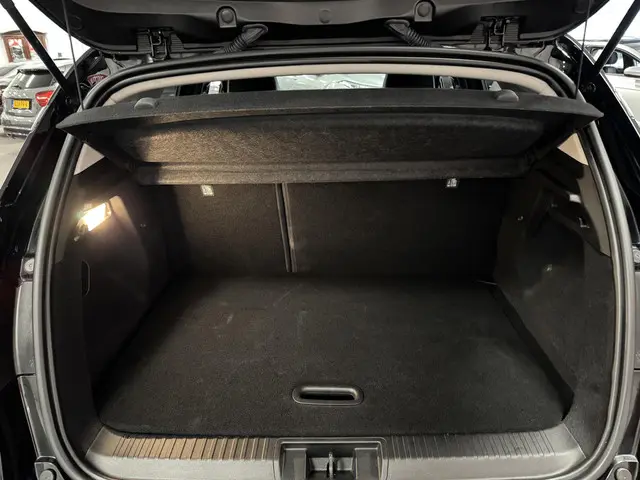 Renault Captur 1.3 Mild Hybrid 2024 Benzine 12