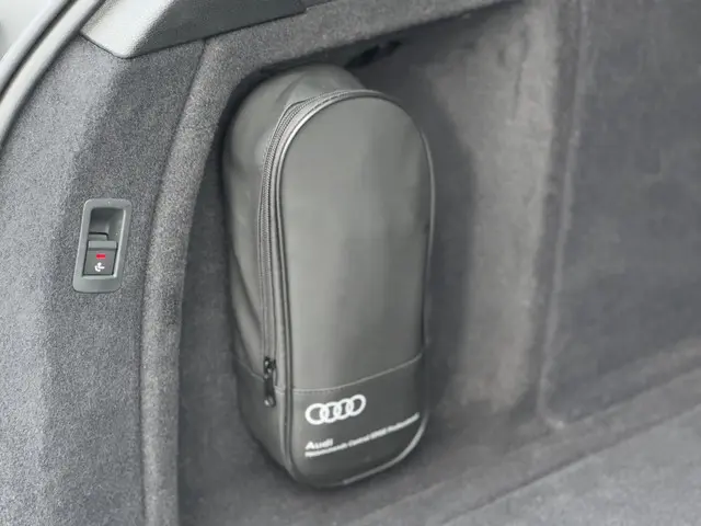 Audi RS4 Avant 2.9 TFSI quattro 2019 Benzine 10