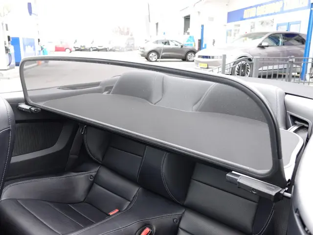 Ford Mustang Convertible 2.3 EcoBoost 310PK 2015 Benzine 11