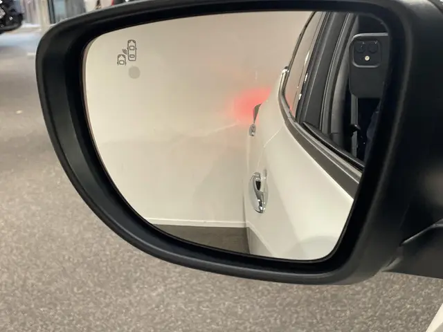 Nissan Leaf e+ N-Connecta 62 kWh 2022 Elektrisch 27