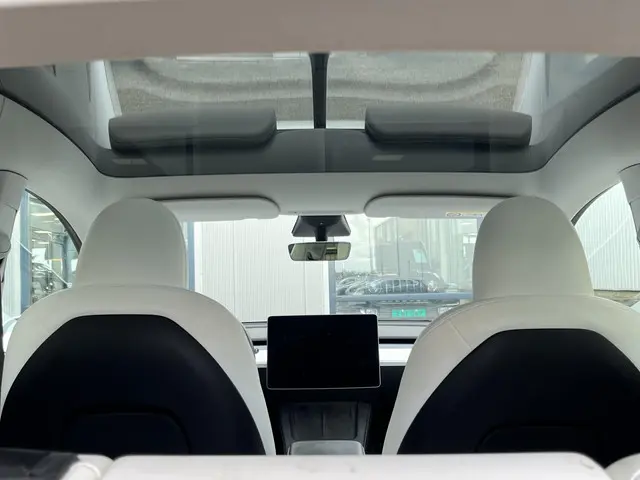 Tesla Model Y Performance AWD 75 kWh 2023 Elektrisch 26