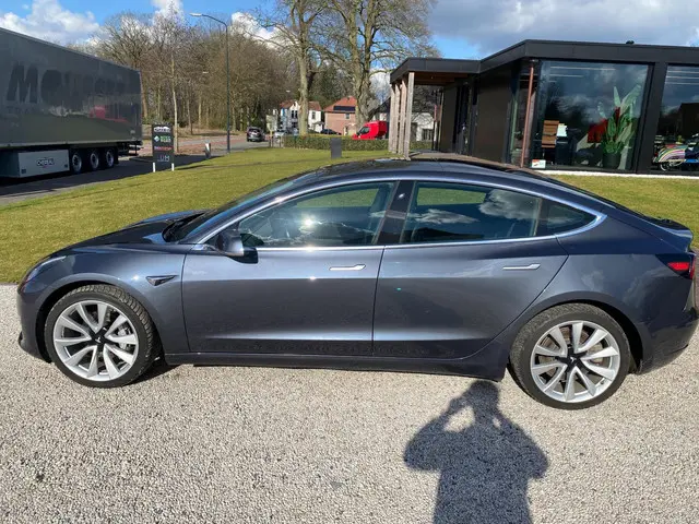 Tesla Model 3 Long Range AWD 75 kWh 2019 Elektrisch 4