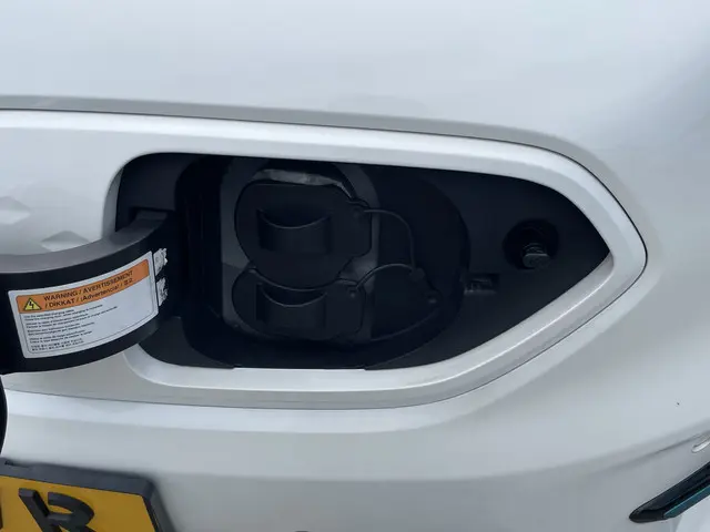 Kia e-Niro ExecutiveLine 64 kWh 2019 Elektrisch 5