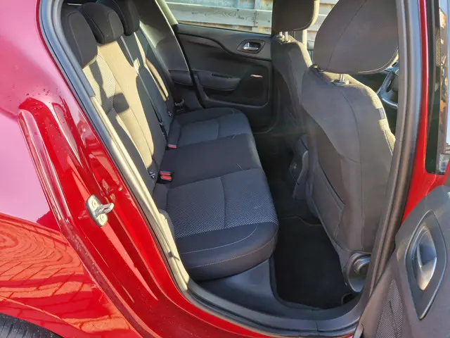 DS DS 4 1.2 PureTech Chic Navigatie 2017 Benzine 9