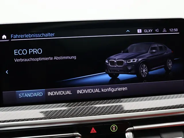 BMW X4 xDrive30i 2024 Benzine 28
