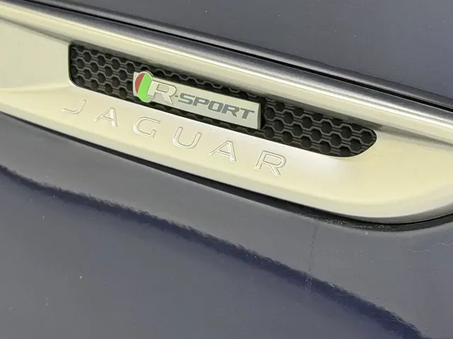 Jaguar F-PACE 2.0d Turbo Portfolio AWD Aut. 2017 Diesel 37