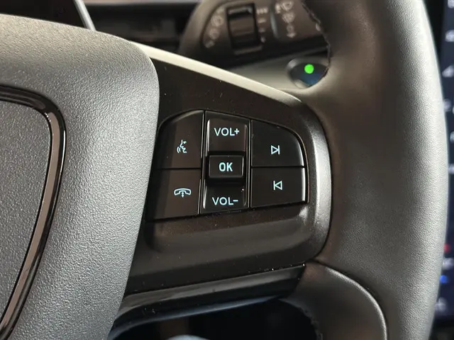 Ford Mustang Mach-E RWD 75 kWh 2021 Elektrisch 25