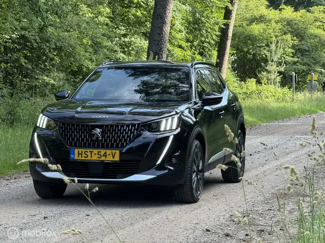 Peugeot 2008 1.2 PureTech GT-Line 18''inch 2020 Benzine 14